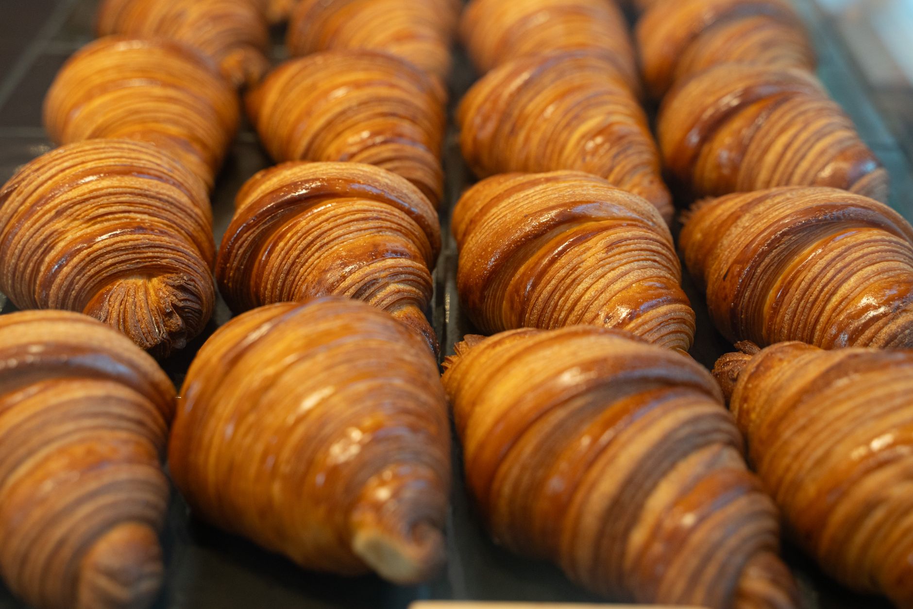 Goldbraune artisanale Croissants in einer Bäckerei
